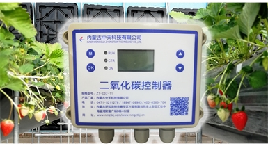 中國北方CO?新技術(shù)，將促進農(nóng)作物光合作用和光合產(chǎn)物的生成