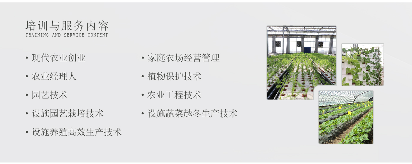 人才培養(yǎng)1920實(shí)驗(yàn)2_12.jpg 人才培養(yǎng)1920實(shí)驗(yàn)2_12.jpg