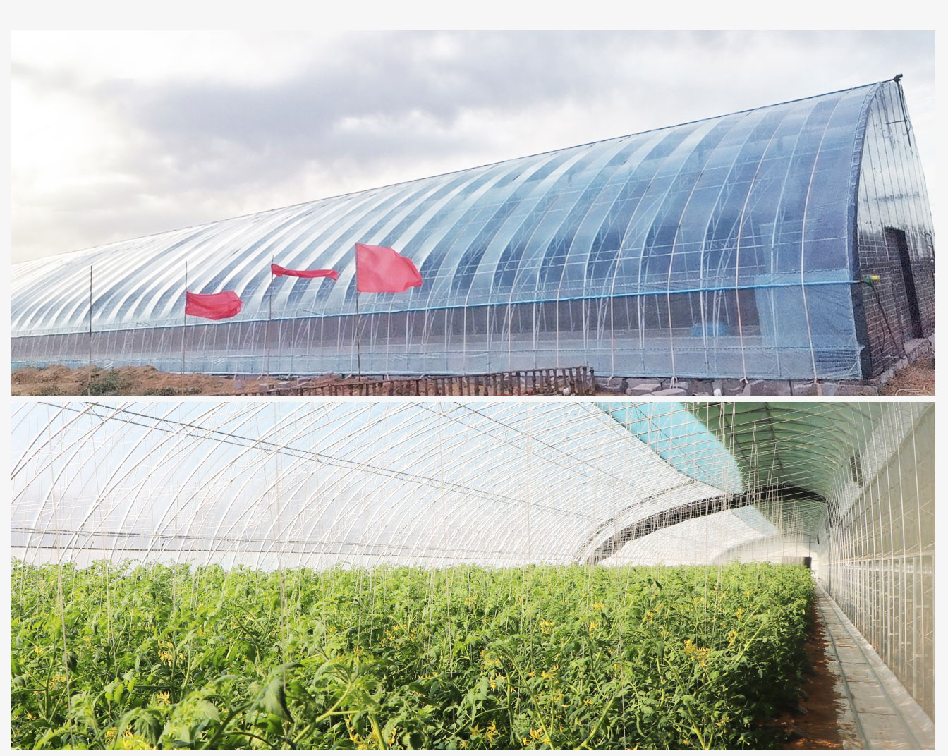 鄂爾多斯市烏審旗烏蘭陶勒蓋鎮(zhèn)水蓄熱內(nèi)保溫裝配式日光溫室建設項目_07.jpg 鄂爾多斯市烏審旗烏蘭陶勒蓋鎮(zhèn)水蓄熱內(nèi)保溫裝配式日光溫室建設項目_07.jpg