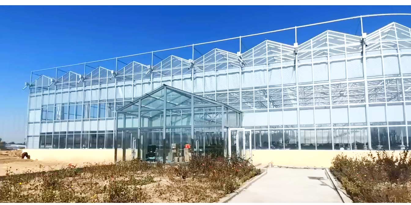 大路鎮苗家灘社區項目-智能溫室、日光溫室建設項目_13.jpg